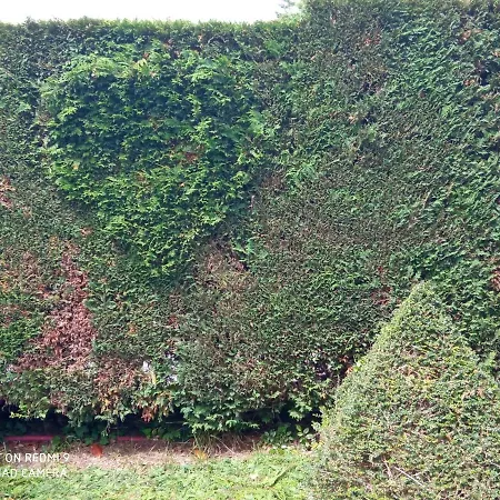 Rural El Pagadin 2* Рибадеселья